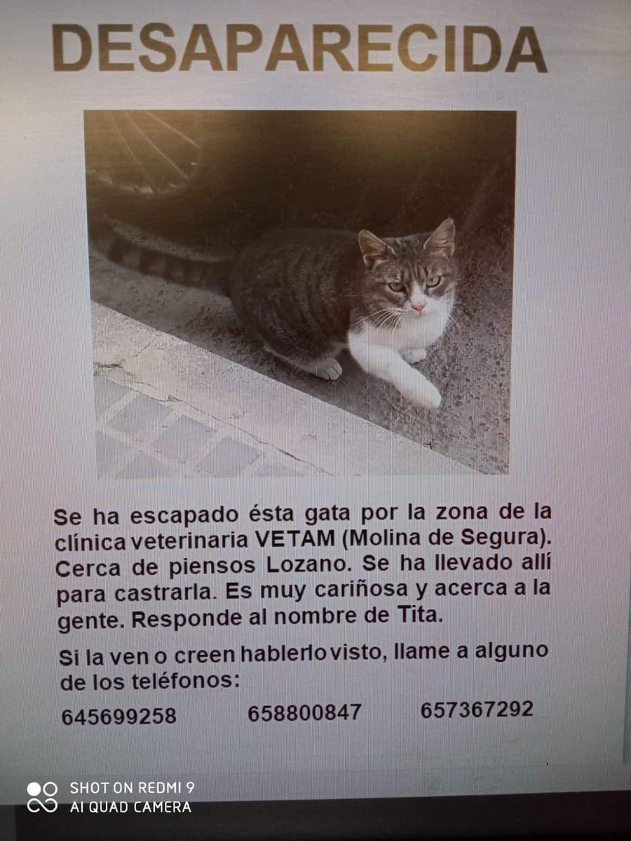 Sos Ayuda para encontrar a Tita
Por favor comparte esta publicación para que llegue al mayor número posible de personas y Tita vuelva a casa