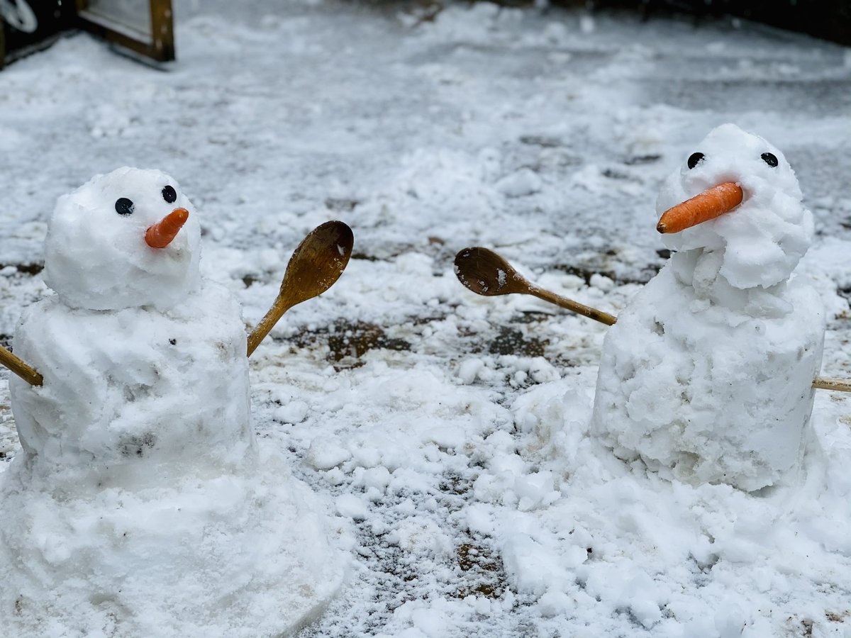 SABPDME's tweet photo. And once again the family snowman attempt was foiled by a miscreant mutt with a penchant  for carrots https://t.co/fSCKYrxvZI