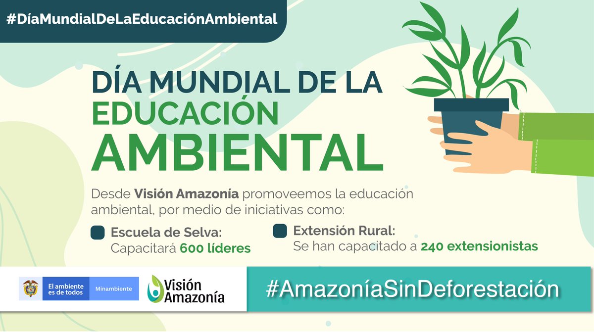 📌Estamos convencidos de que la educación puede cambiar el rumbo de los bosques🌳, es por esto que desde Visión Amazonía, trabajamos en diferentes iniciativas que buscan capacitar a la comunidad en temas de conservación y producción sostenible🍃

#DíaMundialDeLaEducaciónAmbiental