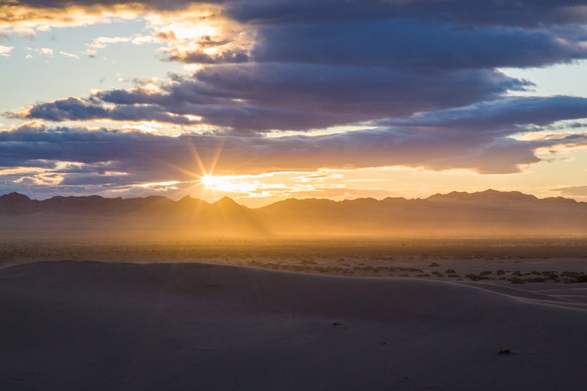 Visit29Palms's tweet photo. Happy National #PlanForVacation Day! Let's make this the year of new adventures. Plan a visit to 29 Palms, your gateway to California's Mojave Desert.

#LetsMakePlans:
https://t.co/yeSpaglyy3
https://t.co/rvwPpjQY6I
https://t.co/6z7mUvl8uV https://t.co/cd1APBTPhD