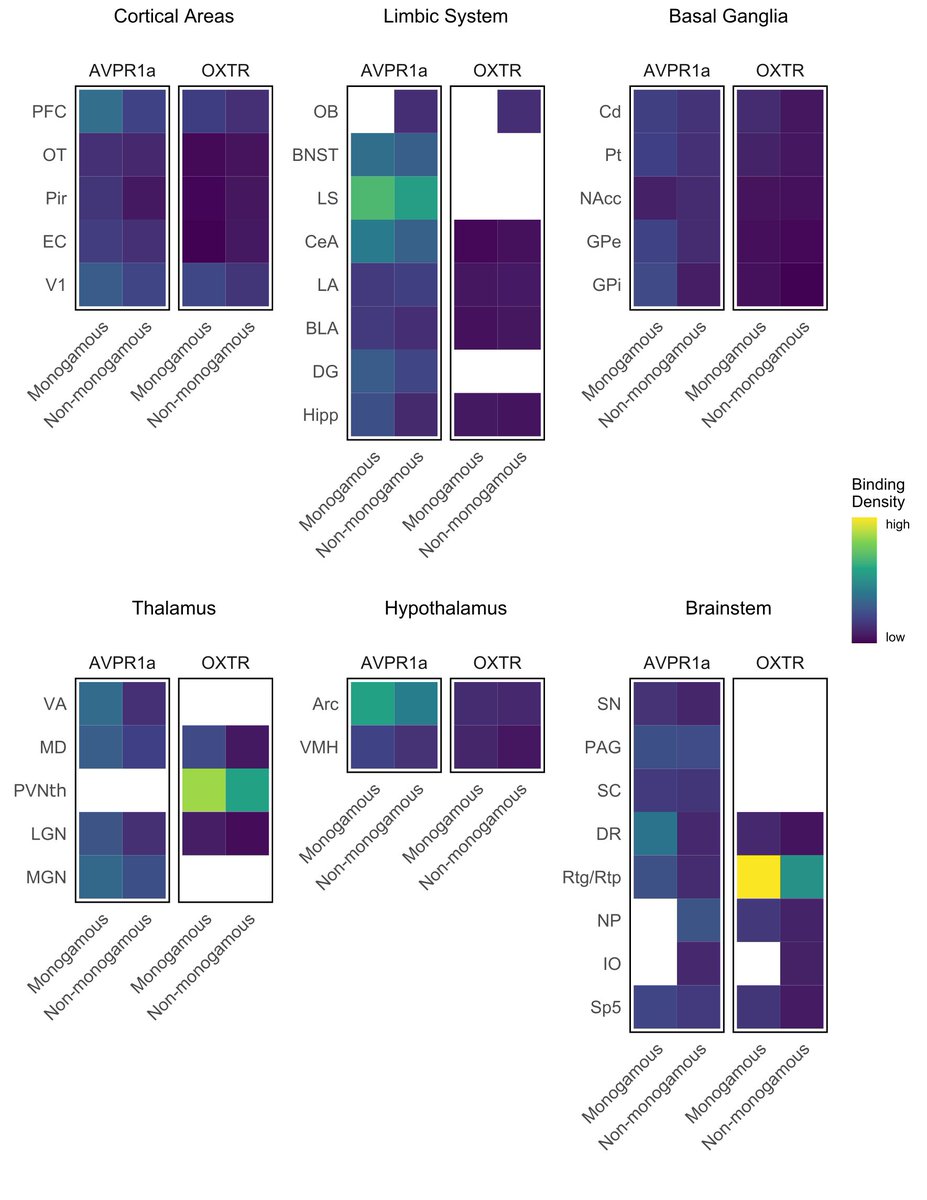 2): Surprisingly, we don’t see evidence of a pair-bond circuit akin to previous studies. Eulemur shows widespread inter-individual variation, unrelated to mating system. Non-traditional species can surprise us & challenge existing assumptions re: biological signatures of monogamy