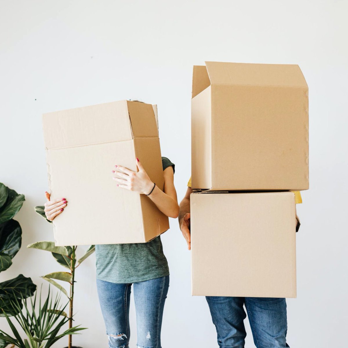 curbit_app's tweet photo. Overwhelmed by junk? Curb-It will take it off your hands – with just the tap of a finger. ✨ 

#curbit #justcurbit https://t.co/pavnbG9zXq