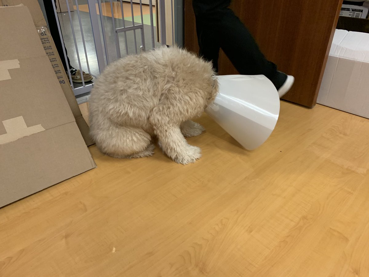 Mark Eby tweet media