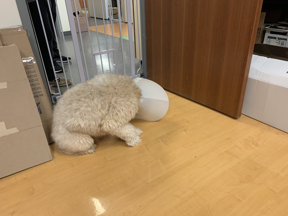 Mark Eby tweet media