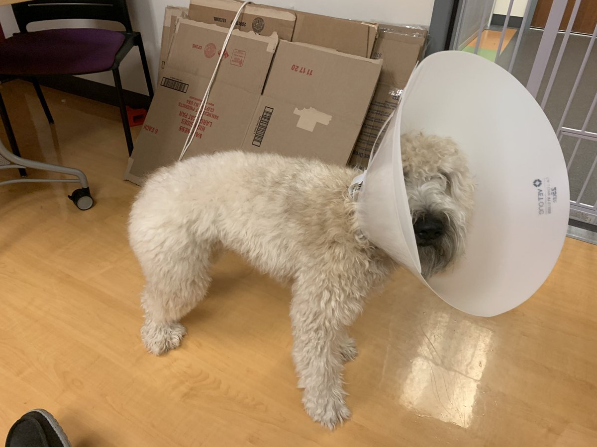 Mark Eby tweet media