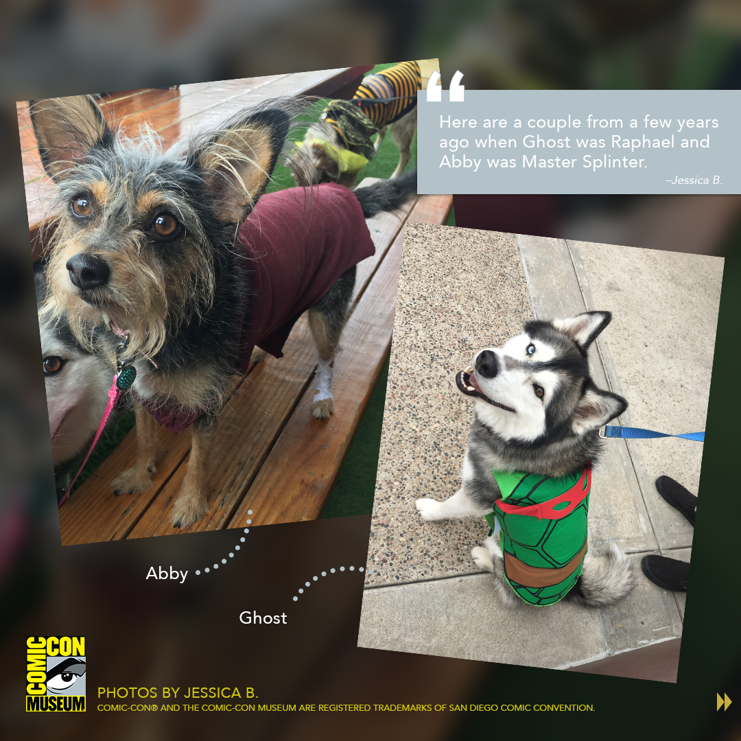 ComicConMuseum's tweet photo. We asked, fans answered! Check out our photo gallery of pets dressed in cosplay or in Comic-Con Museum gear. Thanks to everyone who submitted! #dressyourpetupday https://t.co/YXQJV2waOE