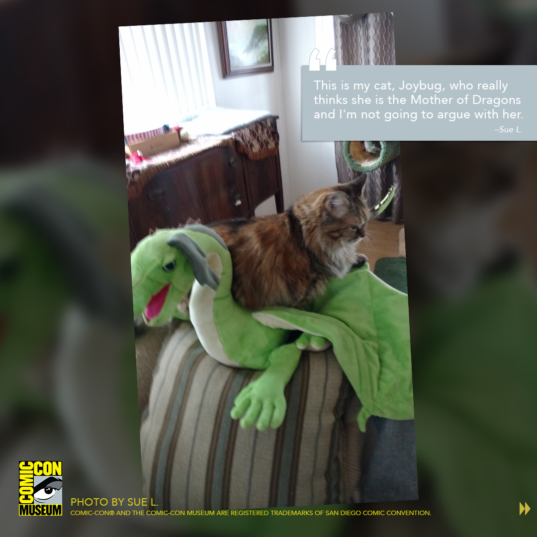 ComicConMuseum's tweet photo. We asked, fans answered! Check out our photo gallery of pets dressed in cosplay or in Comic-Con Museum gear. Thanks to everyone who submitted! #dressyourpetupday https://t.co/YXQJV2waOE