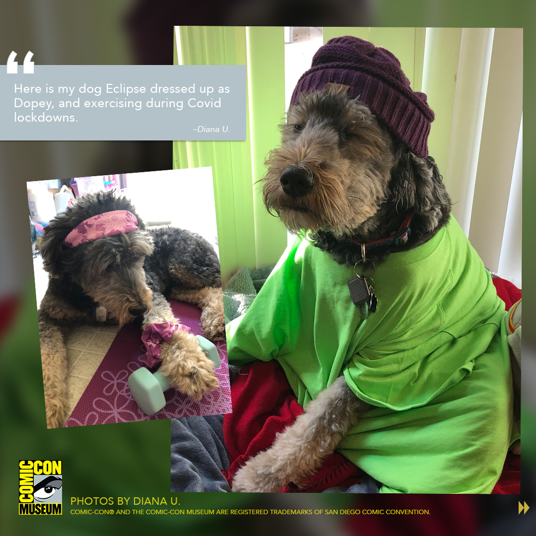ComicConMuseum's tweet photo. We asked, fans answered! Check out our photo gallery of pets dressed in cosplay or in Comic-Con Museum gear. Thanks to everyone who submitted! #dressyourpetupday https://t.co/YXQJV2waOE