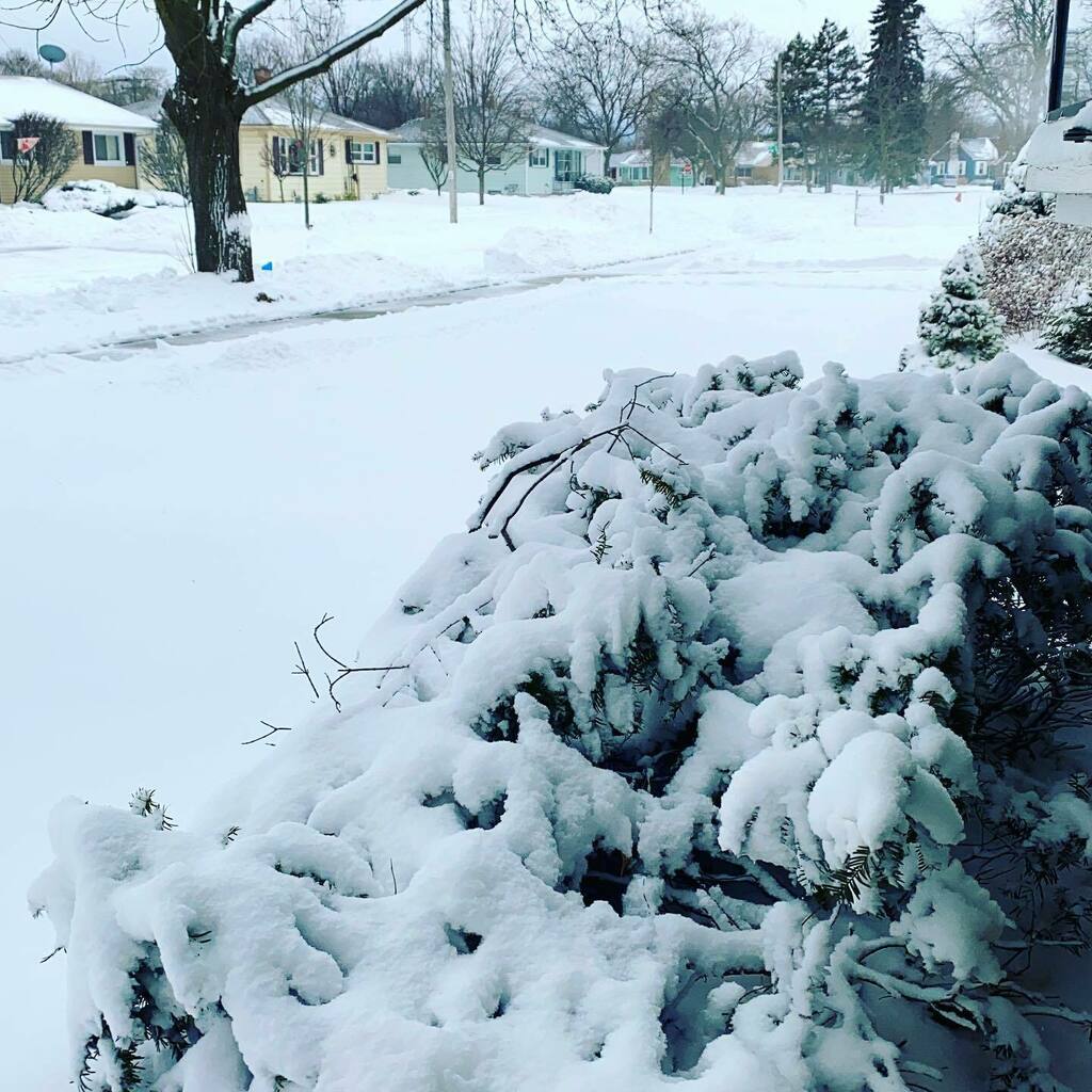 We hope you all stayed safe during the snowstorm.
Today is the perfect day to check on your elderly neighbors in case they need help clearing the snow!
#KAFASI #WhereKenoshaCaresForKenosha instagr.am/p/CKhg3PeANYB/