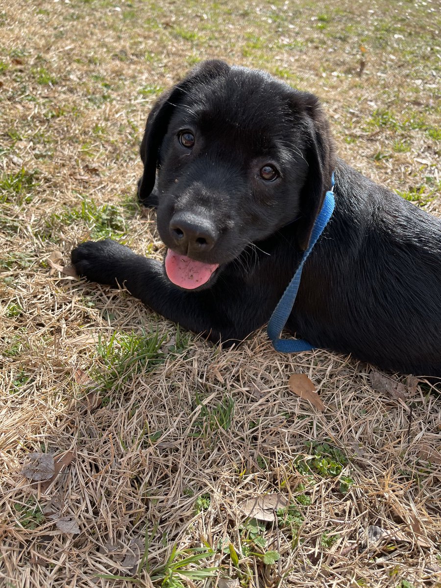 Tim Callahan tweet media