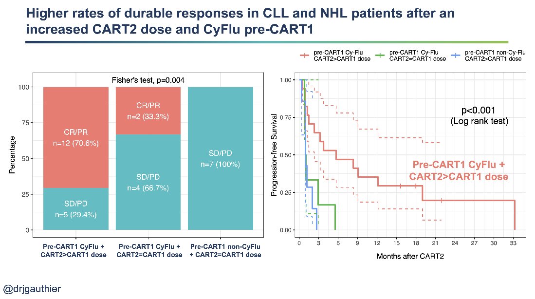In CLL/NHL patients who received CyFlu pre-CART1 and a higher CART2 dose the ORR was 71% with a median PFS of approximately 6 months. Outcomes were poor in the other groups 12/24