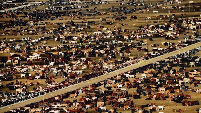 #Legacy de <a href="/Yann_A_B/">Yann Arthus-Bertrand</a> doit être une #révélation pour ceux qui n’étaient pas encore convaincus des dégâts que l’on cause à la #planète. 
C’est pourquoi j’ai pris une #résolution simple : ne plus acheter de viande hors #circuit #court.
Je m’engage pour les générations futures. 👊🏻