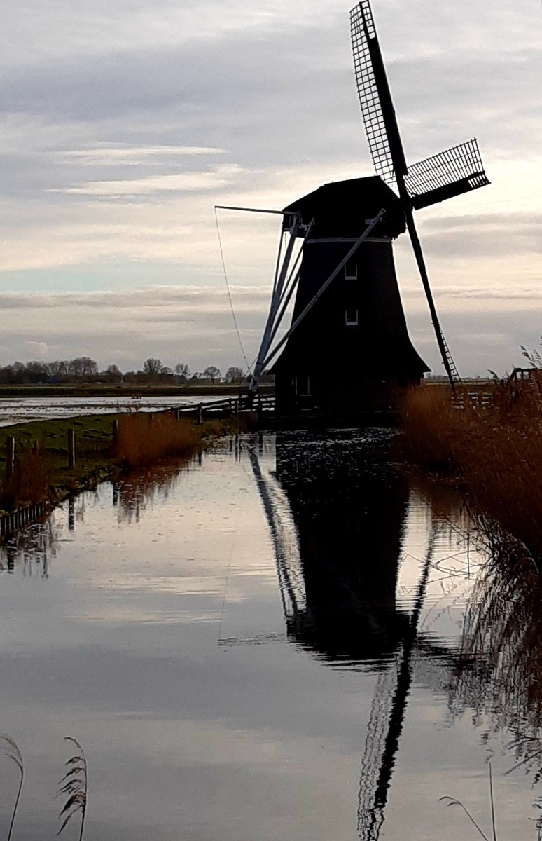 Daar is ie weer...de Hempensermeerpolder en molen.....nog even genieten dan 😊 #natuurbescherming #natuurmonumenten #wetterskip #provinciefryslan #gasterijdewaldwei #vogelskijken #mooifryslan #visitfryslan