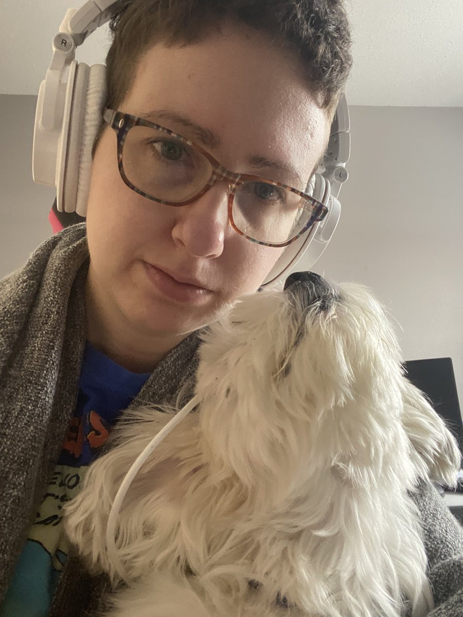 evadbee's tweet photo. Hey twitter have I shown you Cookie? I don't think I've shown you Cookie. Please meet my current foster pup https://t.co/XdcE03tivA
