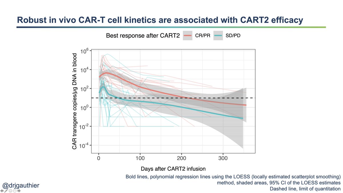 In the next set of analyses, we tried to connect these clinical factors (lymphodepletion and dose) to the in vivo CAR T-cell kinetics, which is known to be strongly associated with outcomes. 13/24