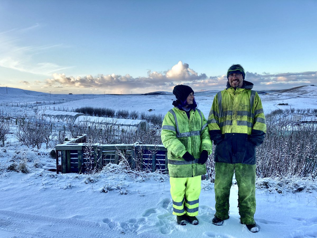 This was ostensibly my reason for the long, rather hazardous drive - interviewing the lovely veg growers of Turriefield, Sandness. Penny and Alan. I spoke to them and the cat in their byre.