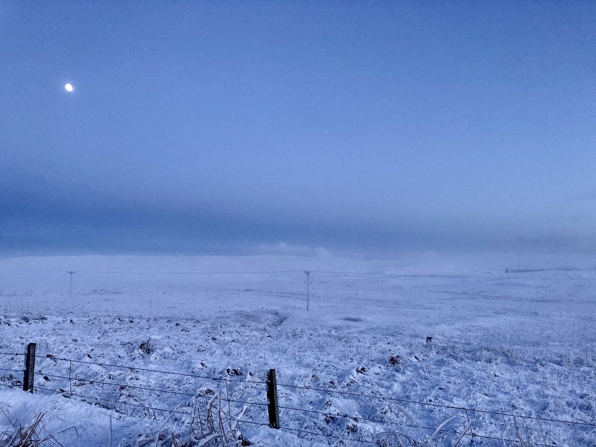 Driving towards Tresta, and that strange freezing mist you get in Cold Places was sitting in the dale, making a milky blue layer below the deep dark blue sky. Land and sky all turning into each other. Eerie and silent and wonderful.