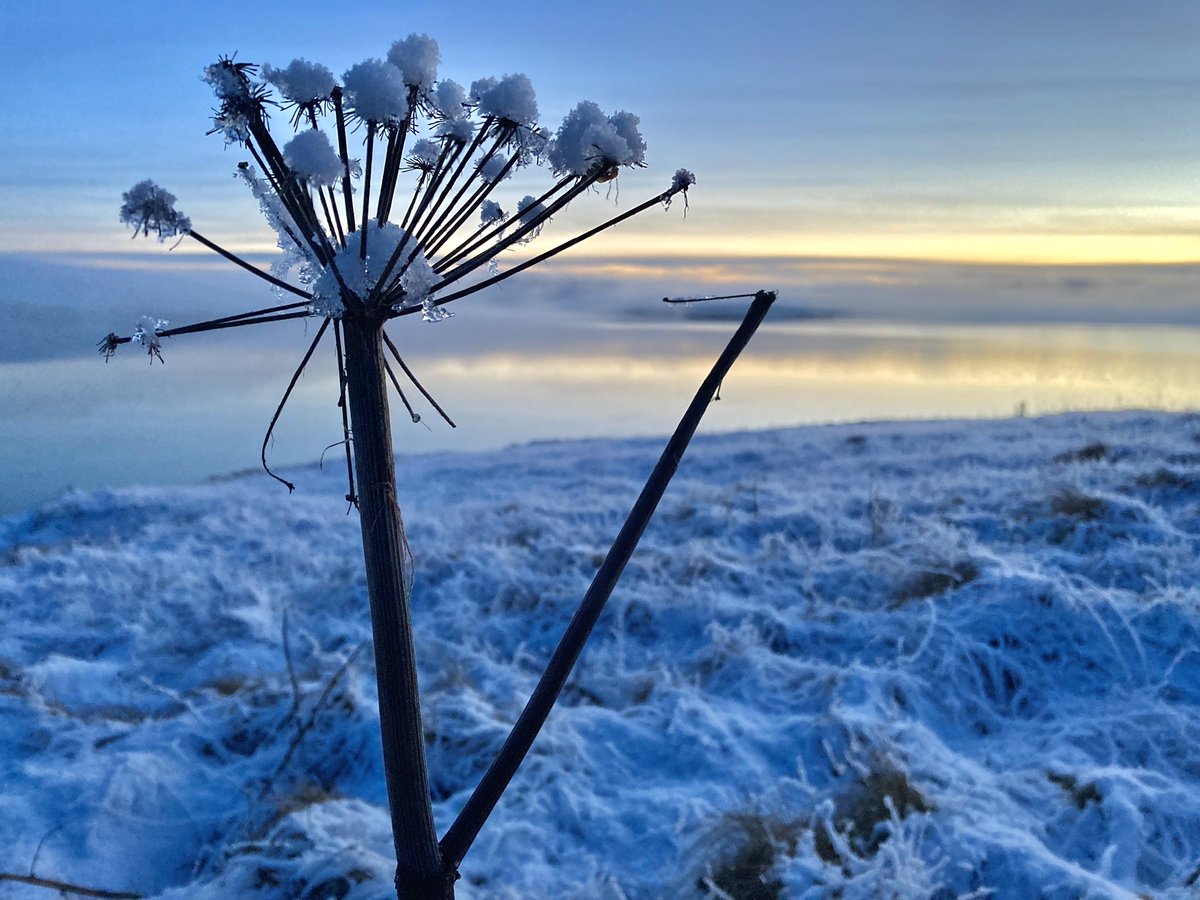 Like a Dr Who planet