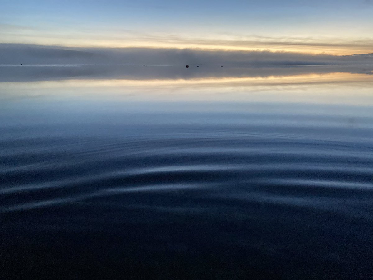 Tresta Voe. Bits were slushing over as the temperature dropped. I sat on the pier for a bit, muttering happily to myself. The end.