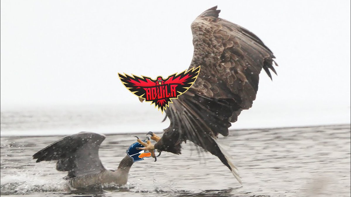 Aquila (@aquila_r6) on Twitter photo Das heutige Match gegen <a href="/PlayingDucks/">Playing-Ducks e. V. 🇩🇪🦆</a> konnten wir mit einem 8:6 in der Overtime für uns entscheiden. ggwp! Das heutige Match gegen <a href="/PlayingDucks/">Playing-Ducks e. V. 🇩🇪🦆</a> konnten wir mit einem 8:6 in der Overtime für uns entscheiden. ggwp!