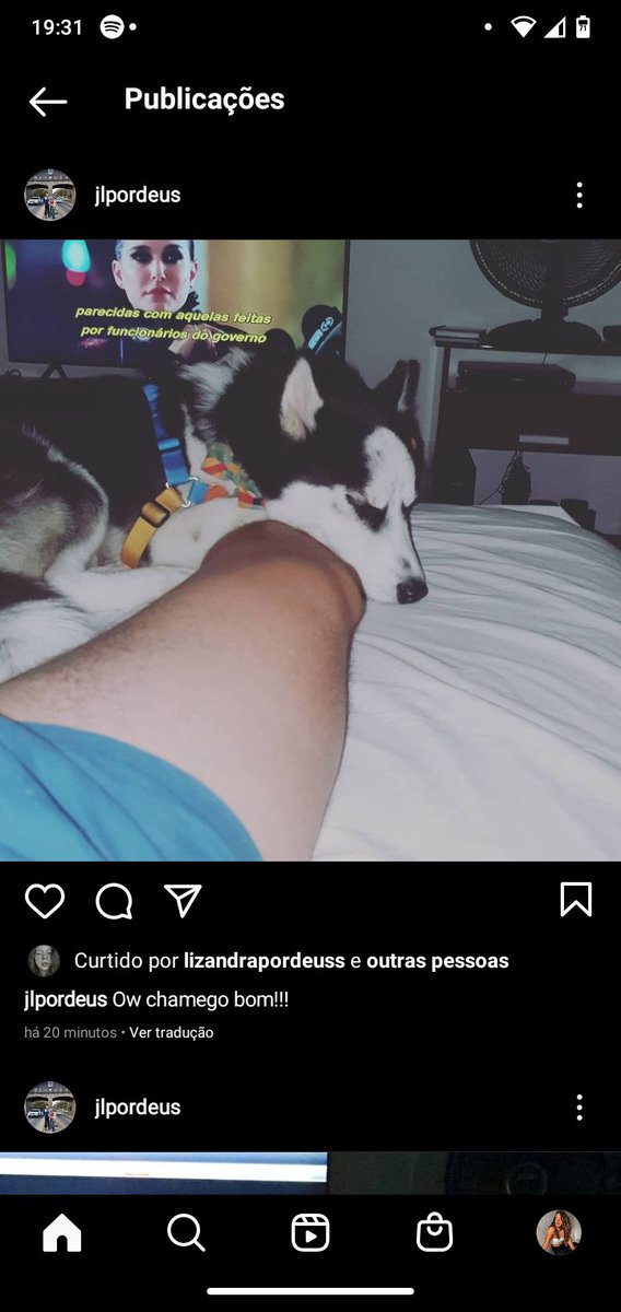 OpsIdiota's tweet photo. meu pai não queria cachorro dentro de casa nem pelo amor de Deus e agora ta assim https://t.co/SmWWKGShoN
