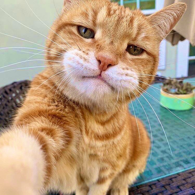 yuyuii6717's tweet photo. เซลฟี่กล้องหน้าไม่ใช่ใครก้อได้นะ https://t.co/22JFygUsUC