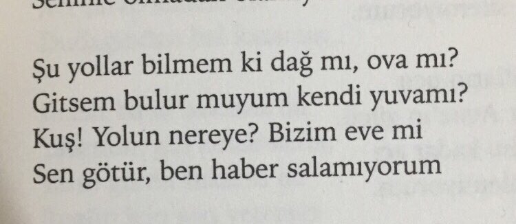 OmerAriogul's tweet photo. https://t.co/B0cqMvQhMs