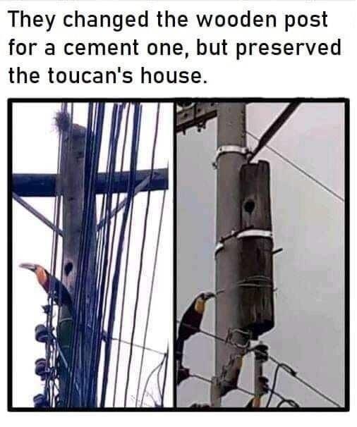 WholesomeMeme's tweet photo. https://t.co/fkr2IGvxph