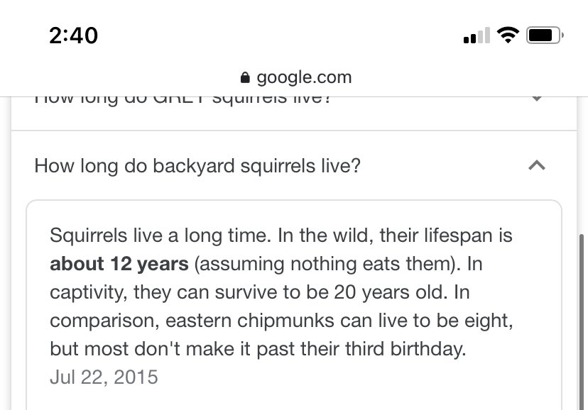 We’re at this many days working from home (they’re my best friends).