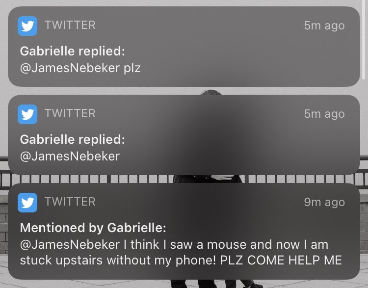 JamesNebeker's tweet photo. It was nothing, quick thinking though @gabrielle4nier! https://t.co/RvIBgqIBmu