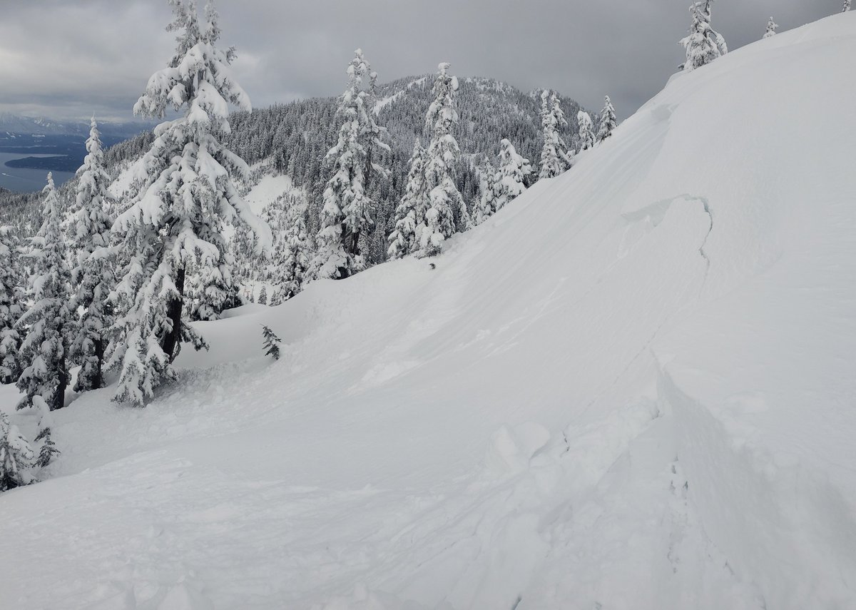 Avalanche Canada tweet media