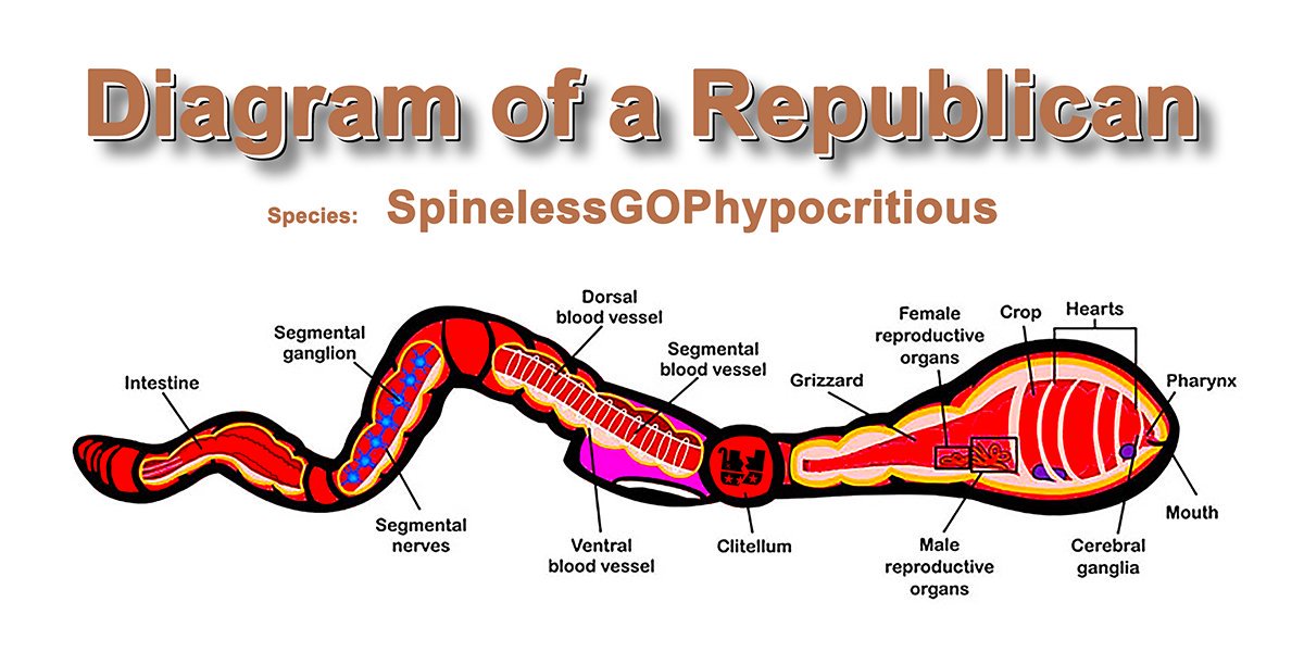 DavidGoldner's tweet photo. How many spineless Earthworms does it take to fill the moral vacuum @GOP? https://t.co/Mnmx9igdUv
