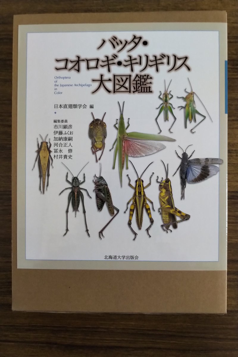 バッタ・コオロギ・キリギリス大図鑑 バッタ・コオロギ・キリギリス大図鑑