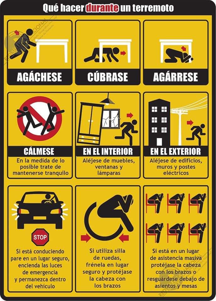 AngelOrte's tweet photo. ¿Qué hacer antes, durante y después de un terremoto? https://t.co/iaDOyf9JbF