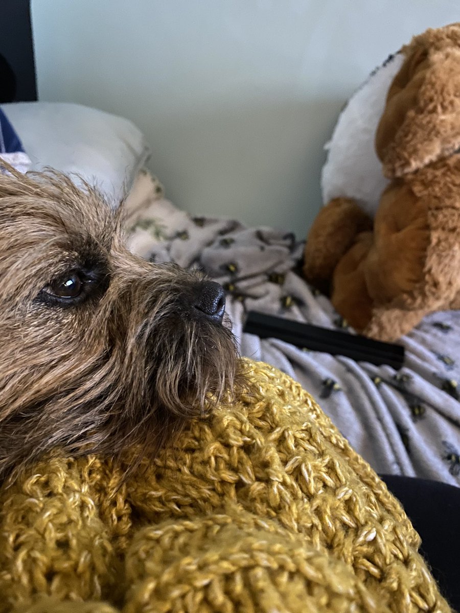 Rocketserver16's tweet image. 