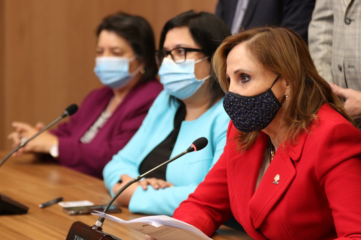 zoilarosavolio's tweet photo. Conferencia de Prensa: Llamado al Ejecutivo a priorizar convocatoria de proyecto de cáñamo y cannabis medicinal. #Proyecto21388 https://t.co/pZ0SdLa5qk