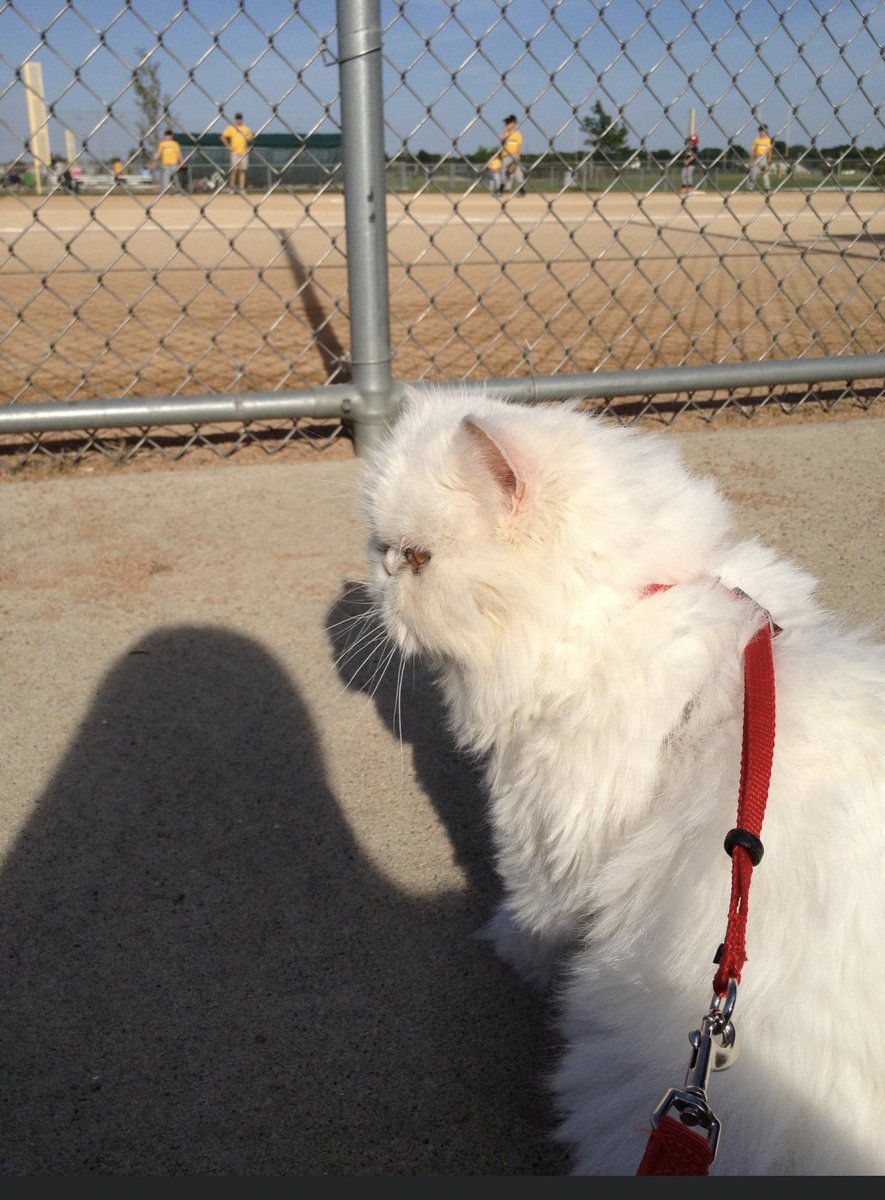 We started spending more time together and I would take her out in public places