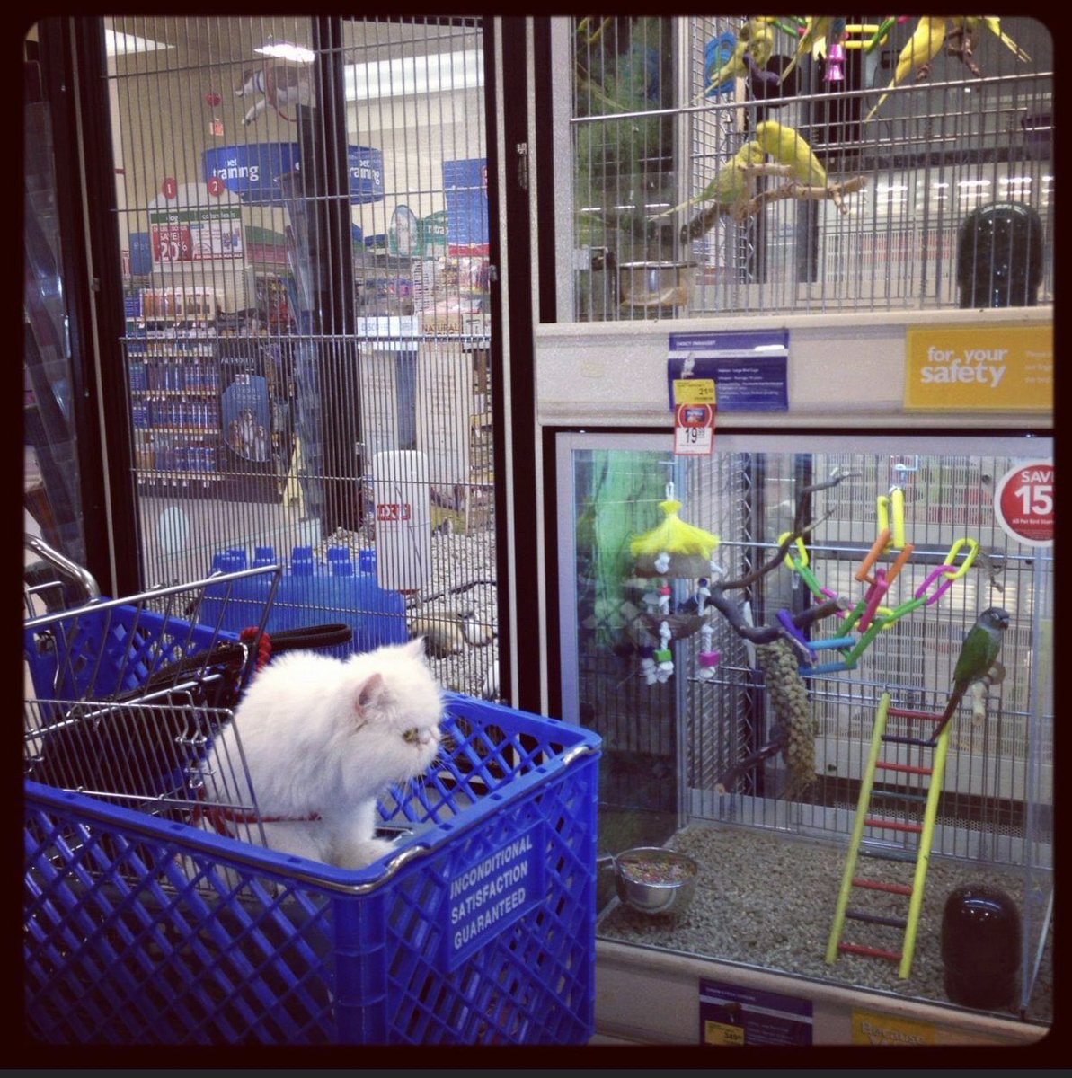 We started spending more time together and I would take her out in public places