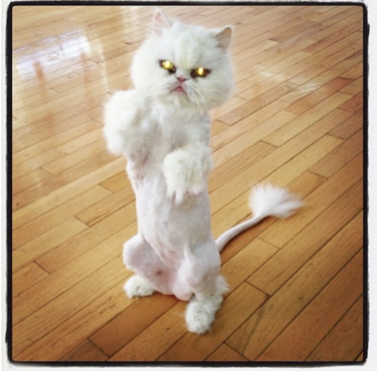 She was pretty bossy and knew how to get her way