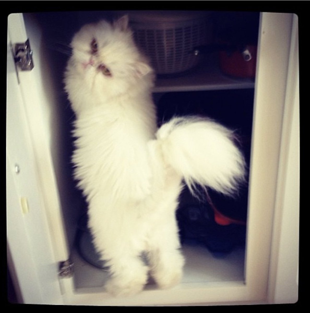 If she wanted something, she knew how to get it