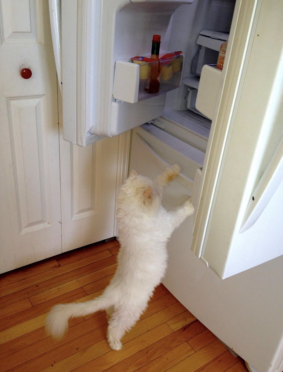 If she wanted something, she knew how to get it