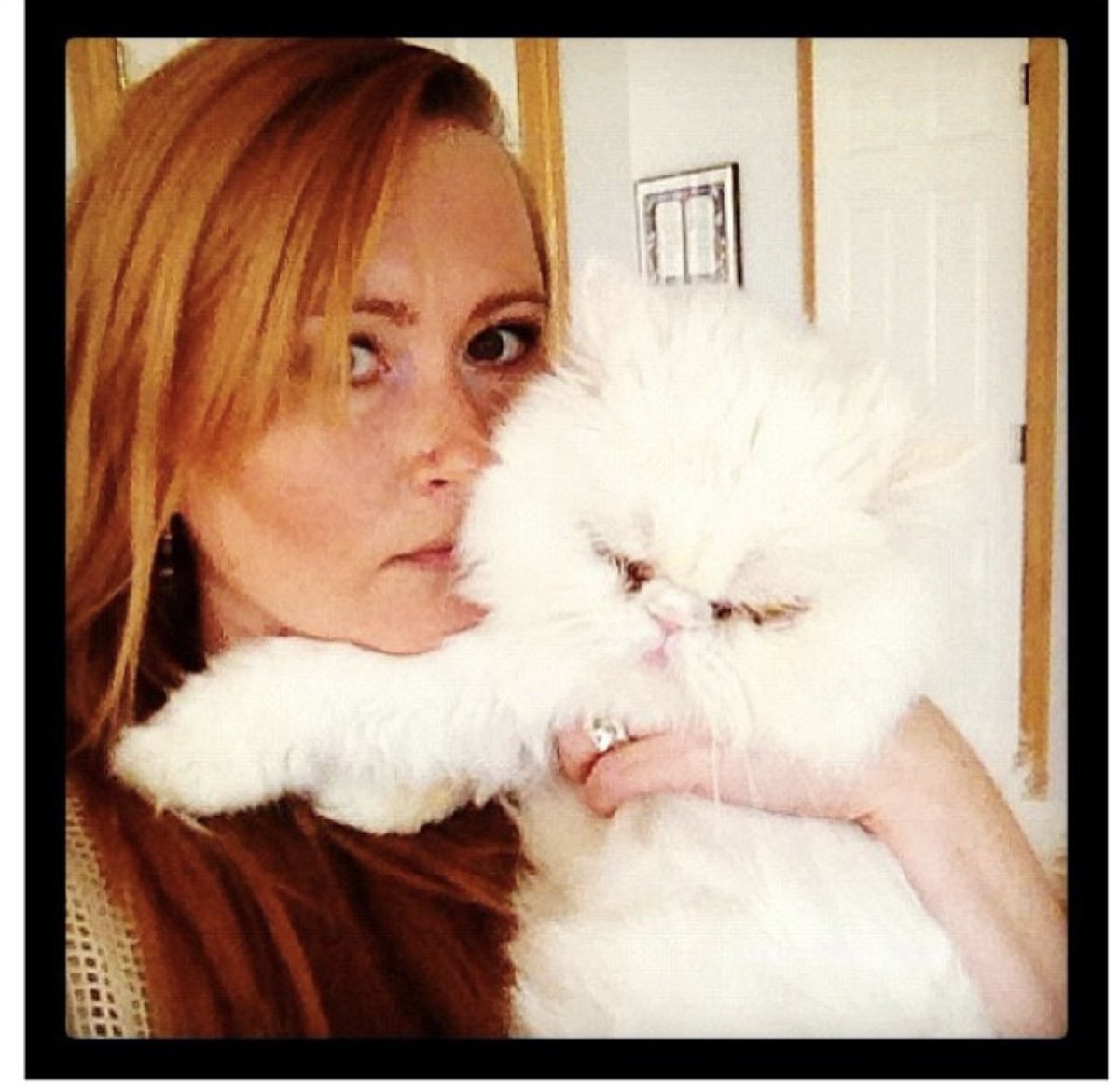 I decided she was a goddam delight and she decided she hated me a little less