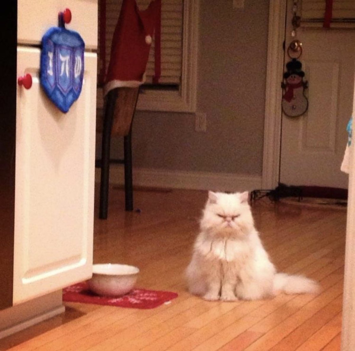 Hanukkah and St Patrick’s Day were also a thrill for her