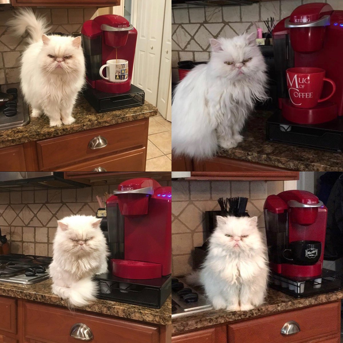 She loved the smell of coffee in the morning and was pretty impatient if I slept in and didn’t make it on ‘her time’