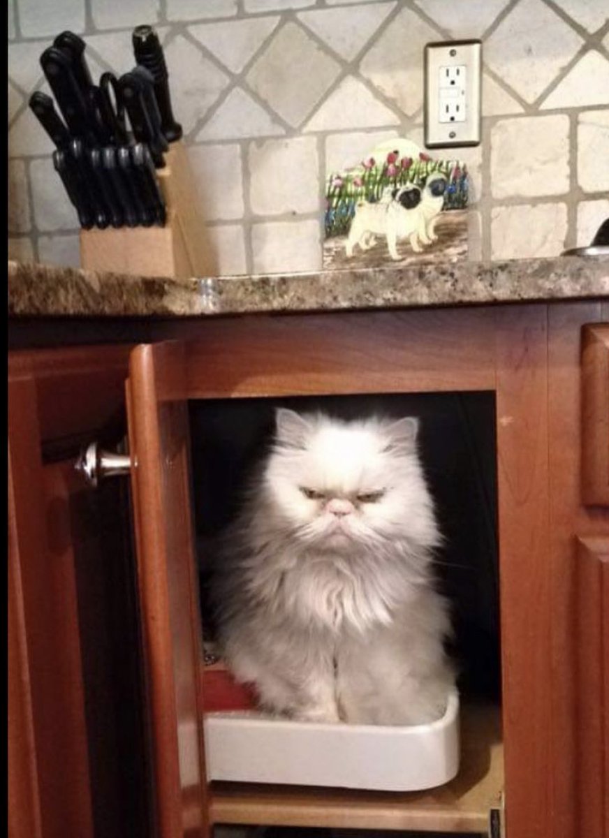 She loved acting all murdery