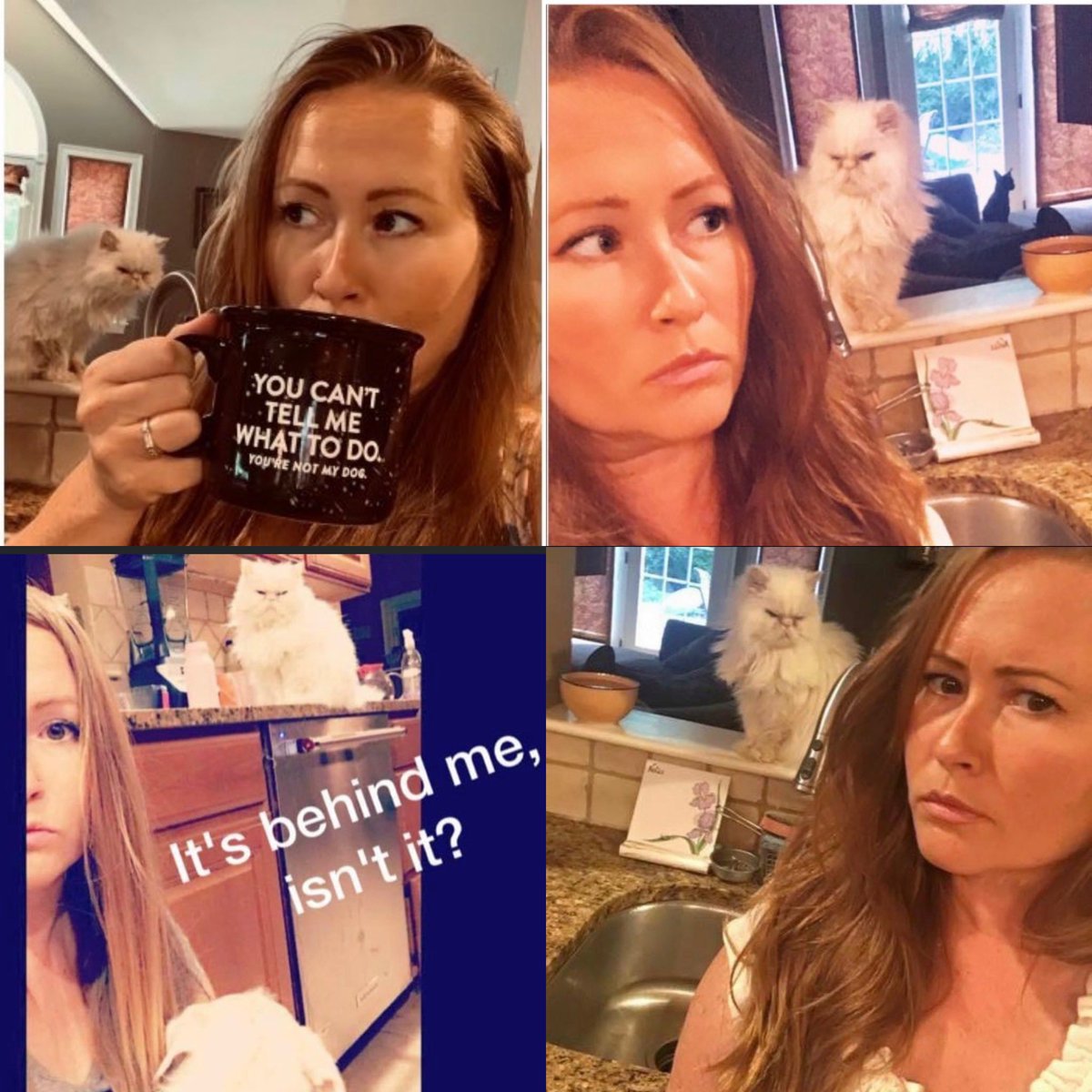 She may or may not have tried to murder me to death a time or two, but I know this cat secretly loved me