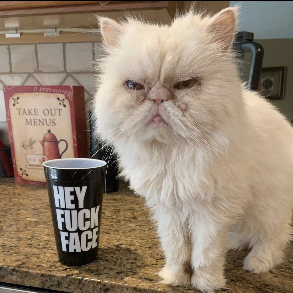 She may or may not have tried to murder me to death a time or two, but I know this cat secretly loved me