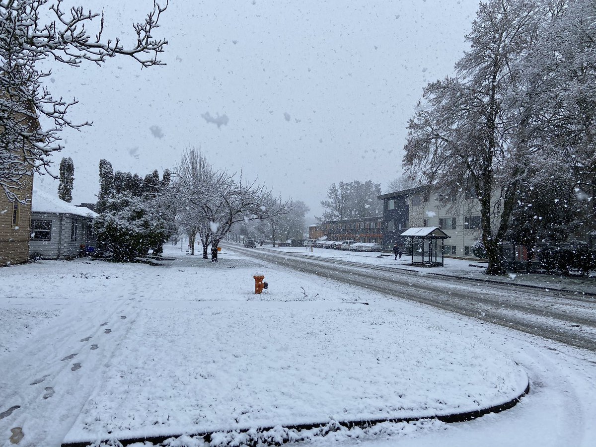 Chris Branam tweet media