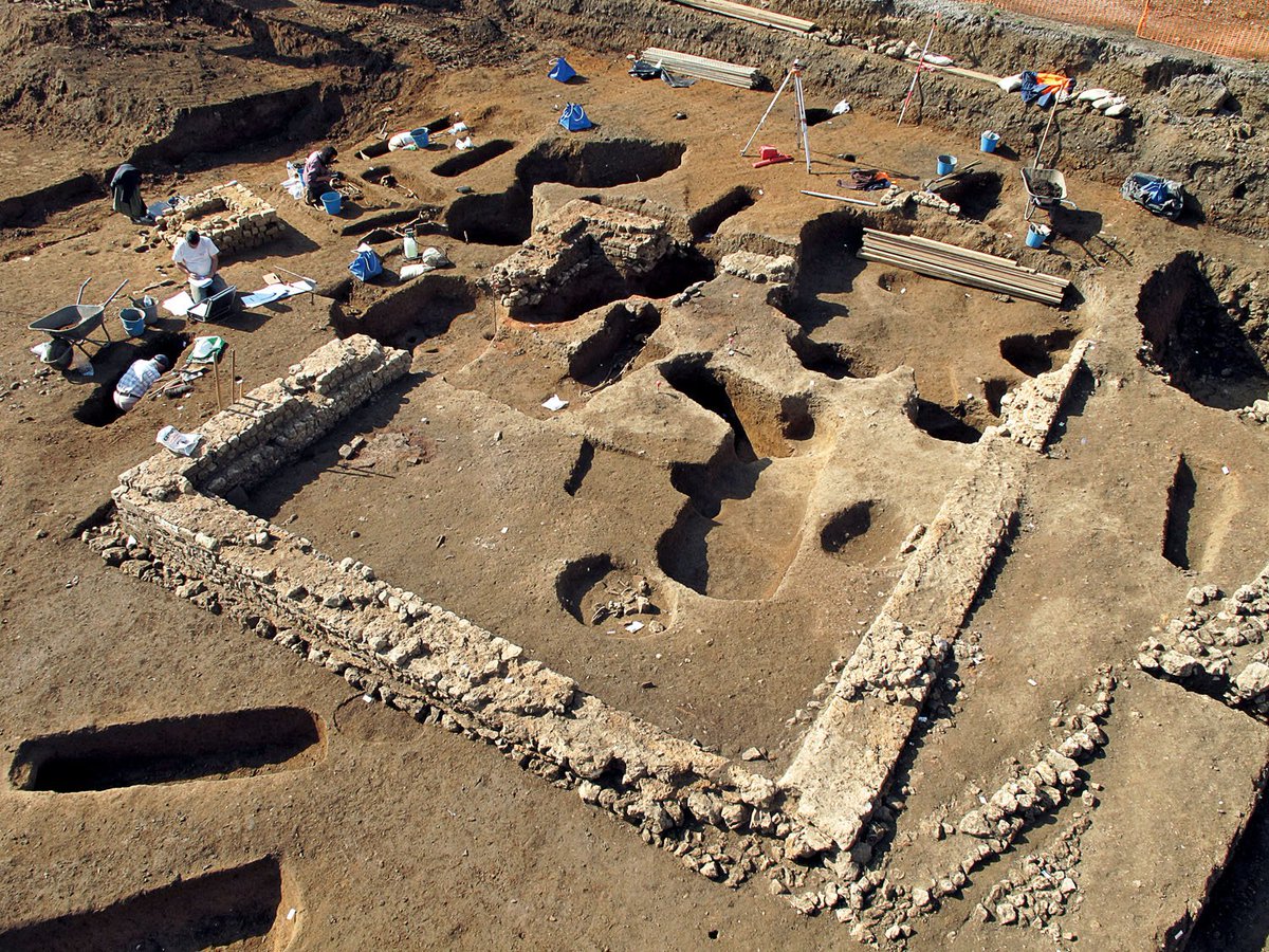 Majority of finds of Barbary apes are of Roman/Late Antique date; some were military mascots, whilst others clearly well-loved companion animals, e.g. that buried in the L3rdC at Poitiers next to its owner in a coffin & inside a large funerary enclosure:  http://journals.openedition.org/archeopages/296&nbsp;