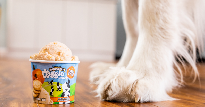 benjerrynh's tweet image. You&apos;re DOG-gone right, we went there! 

#DoggieDesserts